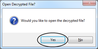 Open decrypted file?